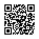 T38538-07-0 QRCode