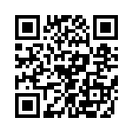 T38538-08-0 QRCode