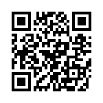 T38540-02-0 QRCode