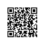 T4171210404-001 QRCode