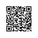 T540D337K004BH86057280 QRCode