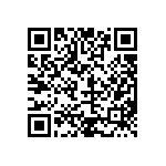 T540D687M2R5DH87057280 QRCode