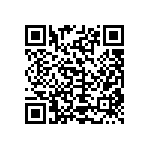 T95R127K020CSSS QRCode