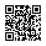 TH1001600000G QRCode