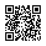 THS4131CDGKG4 QRCode