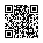 TJE120911 QRCode