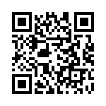 TL064ID_299 QRCode