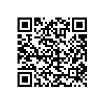 TNPW060316K0BEEN QRCode