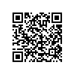 TNPW060333K0BETA QRCode