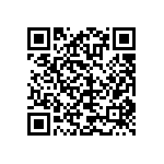 TNPW060339K2BETA QRCode