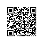 TNPW08053K30BETA QRCode