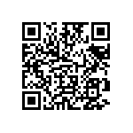 TNPW251213K3BEEG QRCode