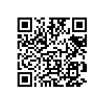 TNPW251216K0BEEY QRCode