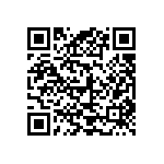 V110A28E300BF3 QRCode