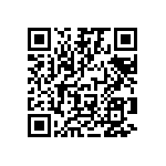 V110B3V3C100BG QRCode