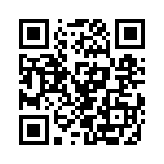 V20E17AUTO QRCode