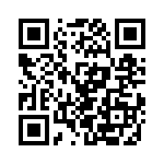 V20P17AUTO QRCode