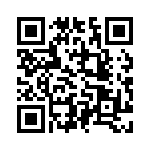 V24B48T200BF2 QRCode