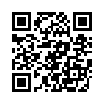 V24B48T250B3 QRCode