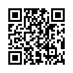 V24B48T250BG QRCode