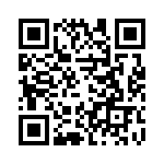 V24C15T100B3 QRCode