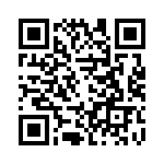 V24C28T100B QRCode