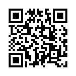 V24C28T100BG2 QRCode