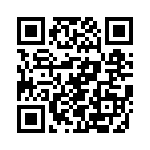 V24C36T100B3 QRCode