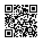 V28A5T175BL QRCode