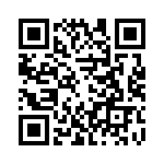 V300A8T300B QRCode