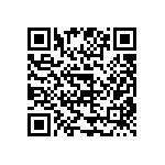 V300B3V3E100BG2 QRCode