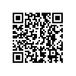 VG95234B12821PY1 QRCode