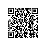 VG95234E-16-10SN QRCode