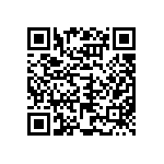 VG95234J2-22-2P1N QRCode