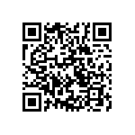 VG95234M-22-2P1Y QRCode