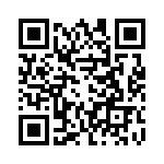 VI-B3P-IV-F3 QRCode