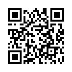 VI-B3T-CV-B1 QRCode