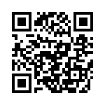 VI-B3T-IX-S QRCode