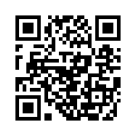 VI-BNJ-EV-F4 QRCode