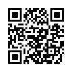 VI-BV3-IX-B1 QRCode