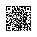 VJ0402D9R1DLCAC QRCode