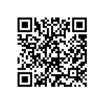 VS4-B2A2A0G25G33G55-00-401-CE QRCode