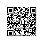 XMLBWT-00-0000-0000T6053 QRCode