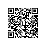 XMLBWT-02-0000-0000T6053 QRCode