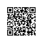 Y006238R4000B9L QRCode