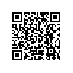 Y09430R20000D9L QRCode