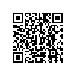 Y11691K00000T139R QRCode