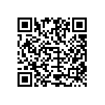 Y11691K55200T9R QRCode