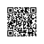 Y11722K32000B9R QRCode