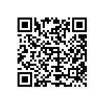 Y16241K10000T9W QRCode